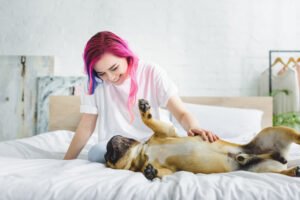Canine Massage Therapy